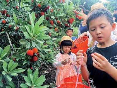 【团队出游咨询】西班牙小镇、南炮台、静湖公园、采摘杨梅一日游